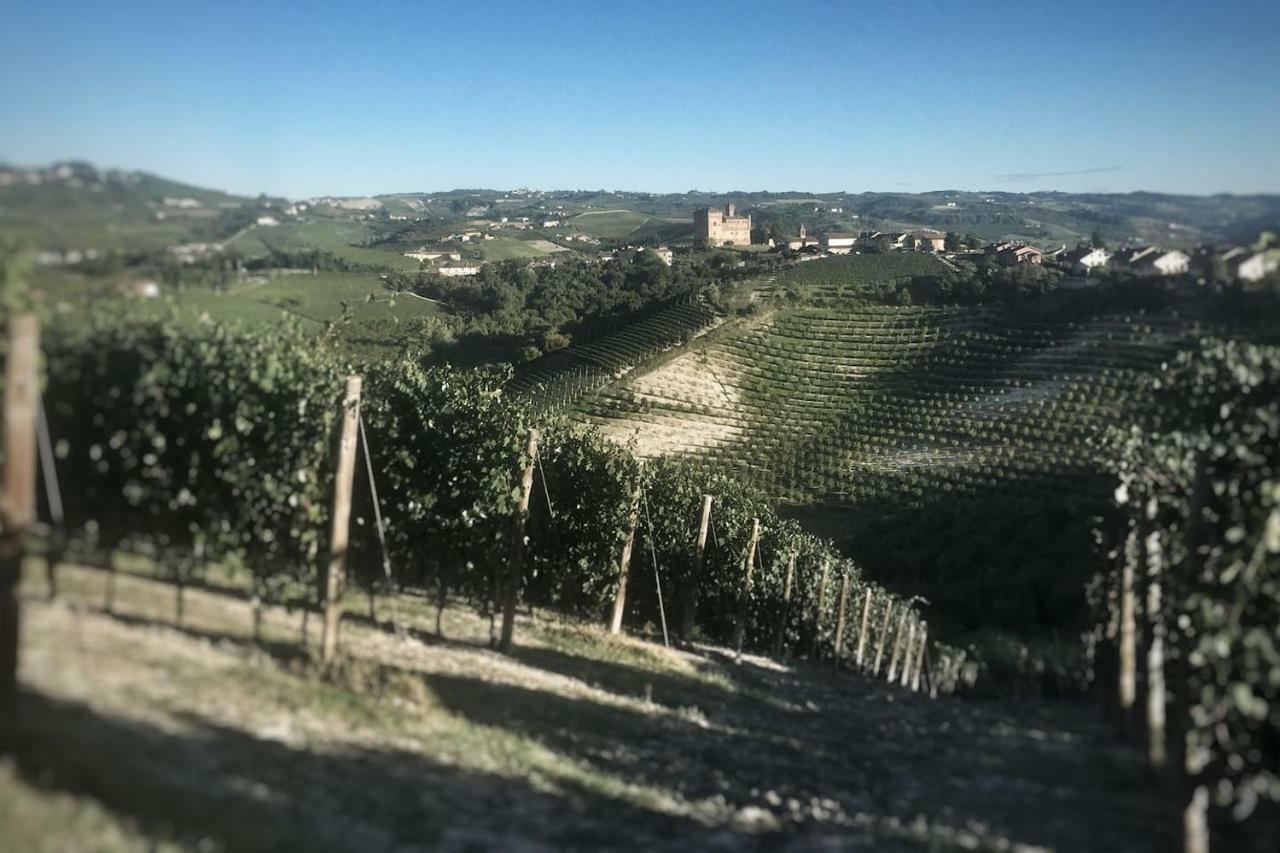 Casa Dei Nonni #Charminglanga Villa Grinzane Cavour Exteriör bild